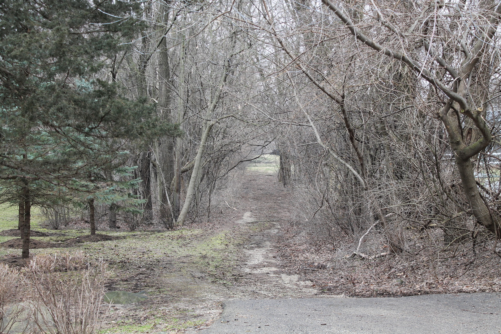 0 Newbold Road Cary, IL 60013 - Photo 2 of 2