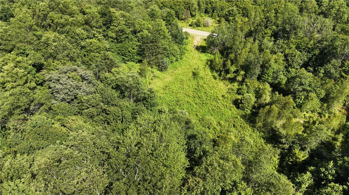 409 Cty Road Cincinnatus, NY 13040 - Photo 23 of 29