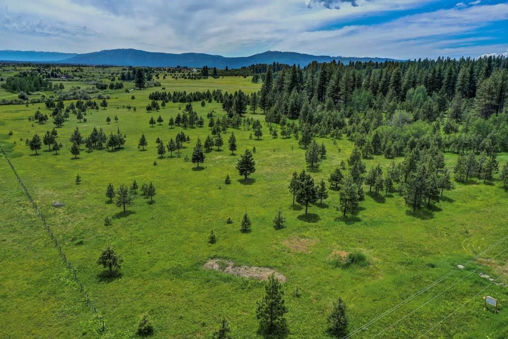 1217 Elo Road McCall, ID 83638 - Photo 11 of 16