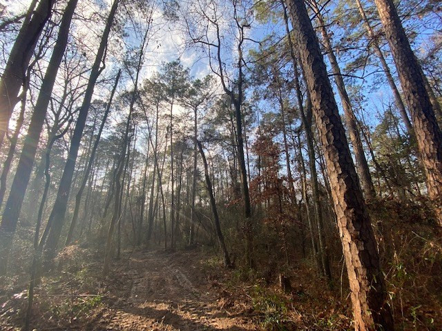Tbd Jayess Road Tylertown, MS 39667 - Photo 5 of 10 Photo 5