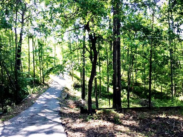 268 Ridgewater Way Cataula, GA 31804 - Photo 20 of 20 Gallery Image 20
