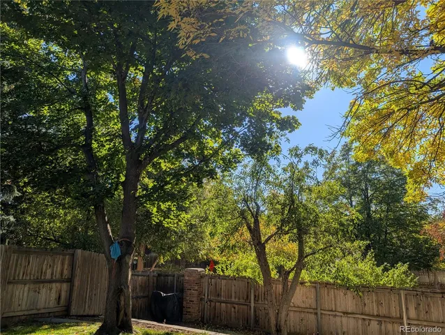 a view of a yard with swimming pool