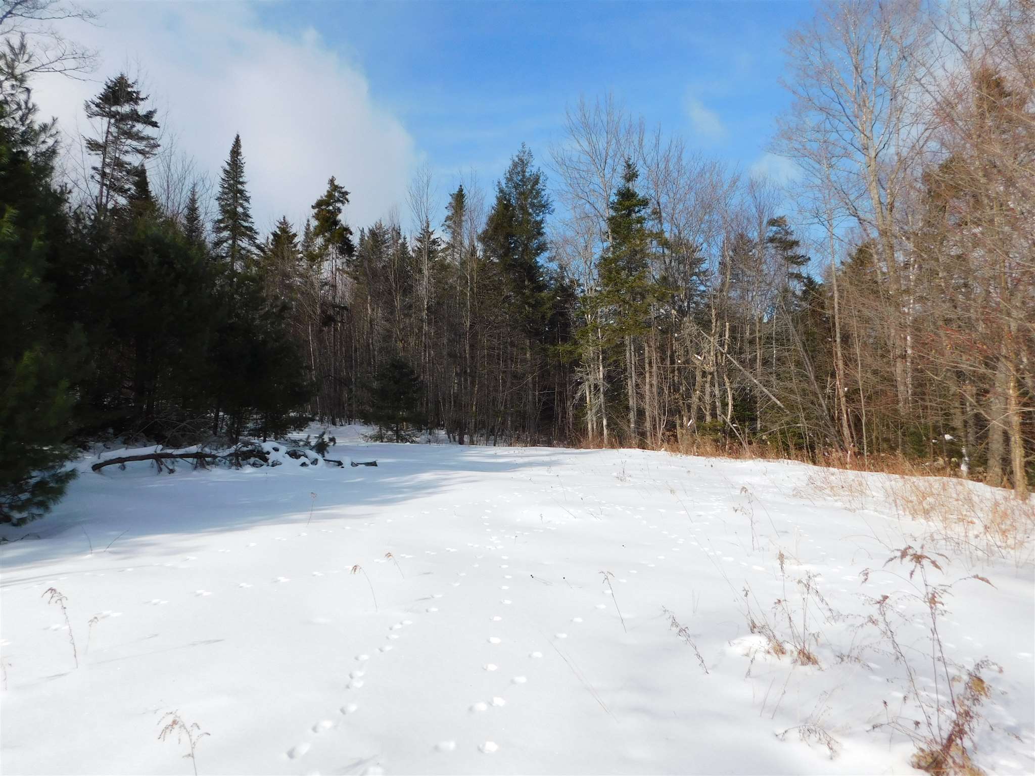145 Van Dyke Road Strafford, VT 05072 - Photo 1 of 11
