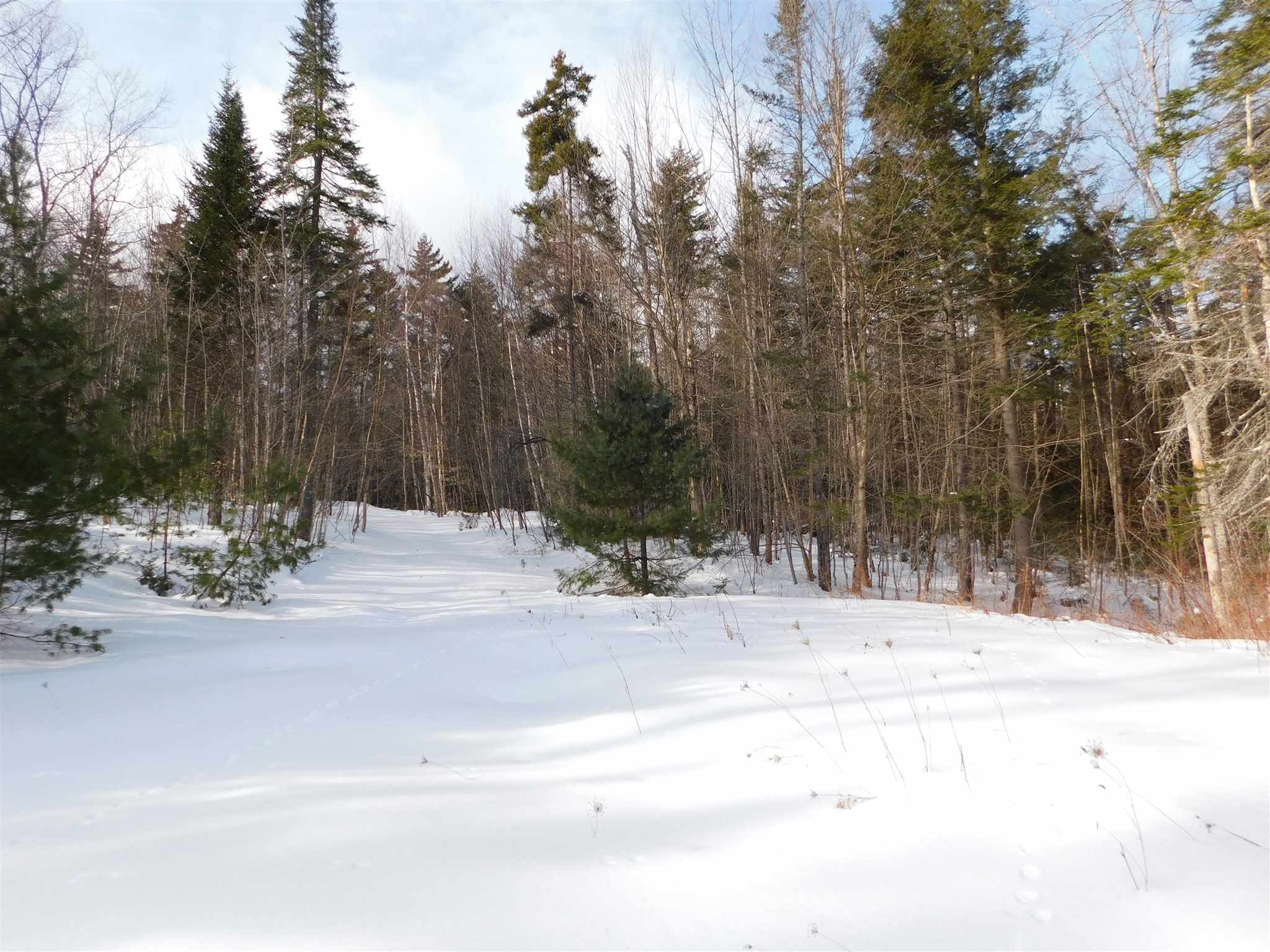 145 Van Dyke Road Strafford, VT 05072 - Photo 3 of 11