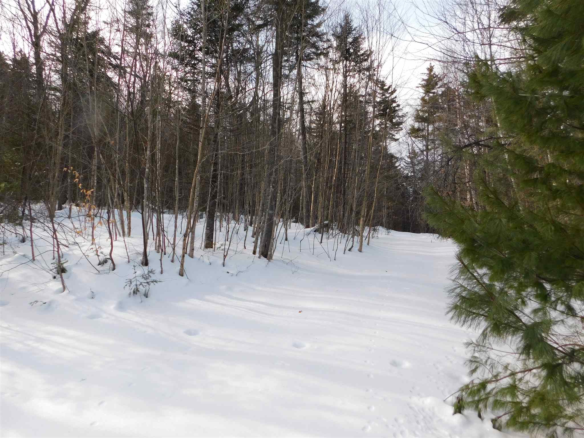 145 Van Dyke Road Strafford, VT 05072 - Photo 4 of 11