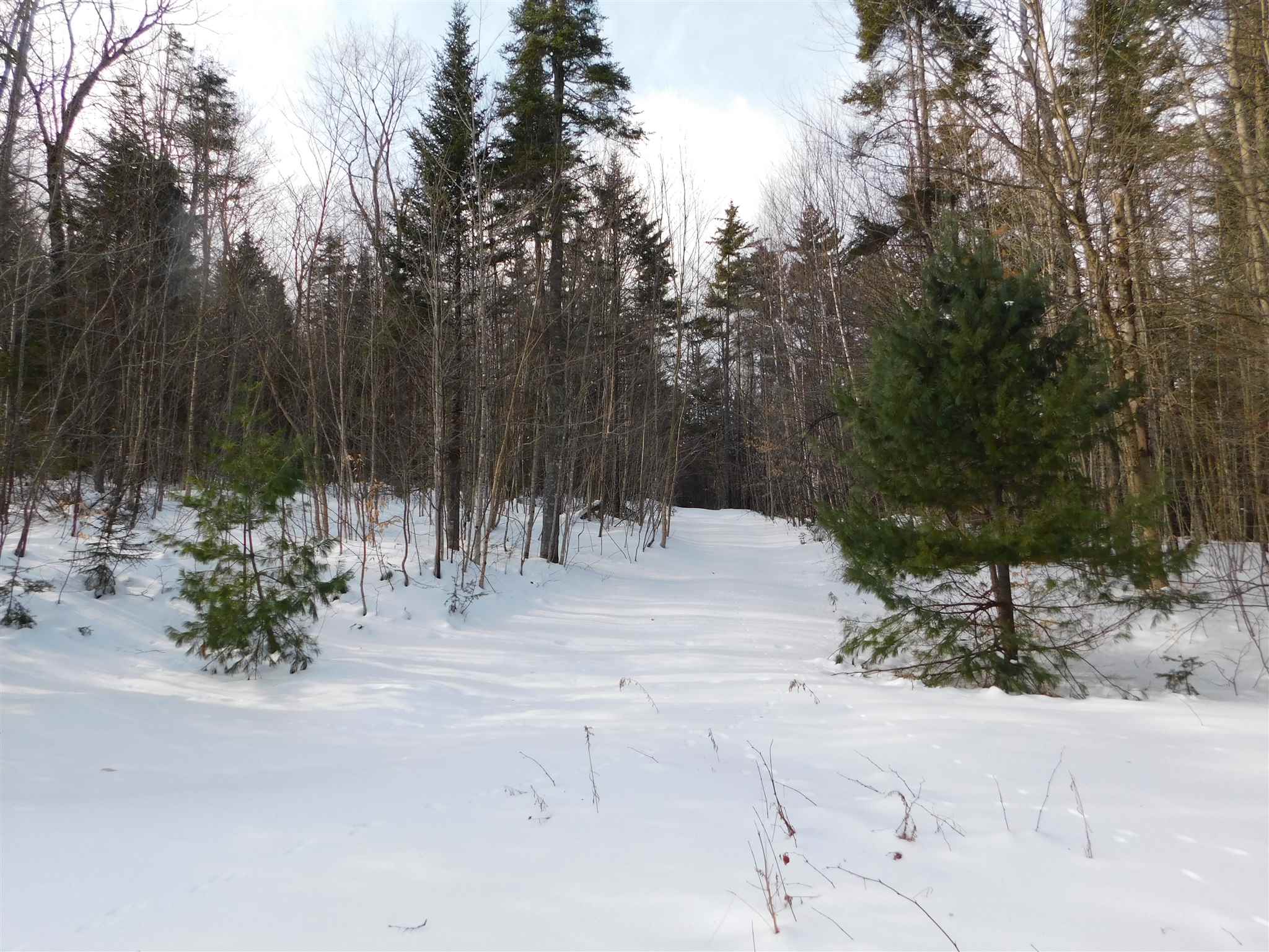 145 Van Dyke Road Strafford, VT 05072 - Photo 5 of 11