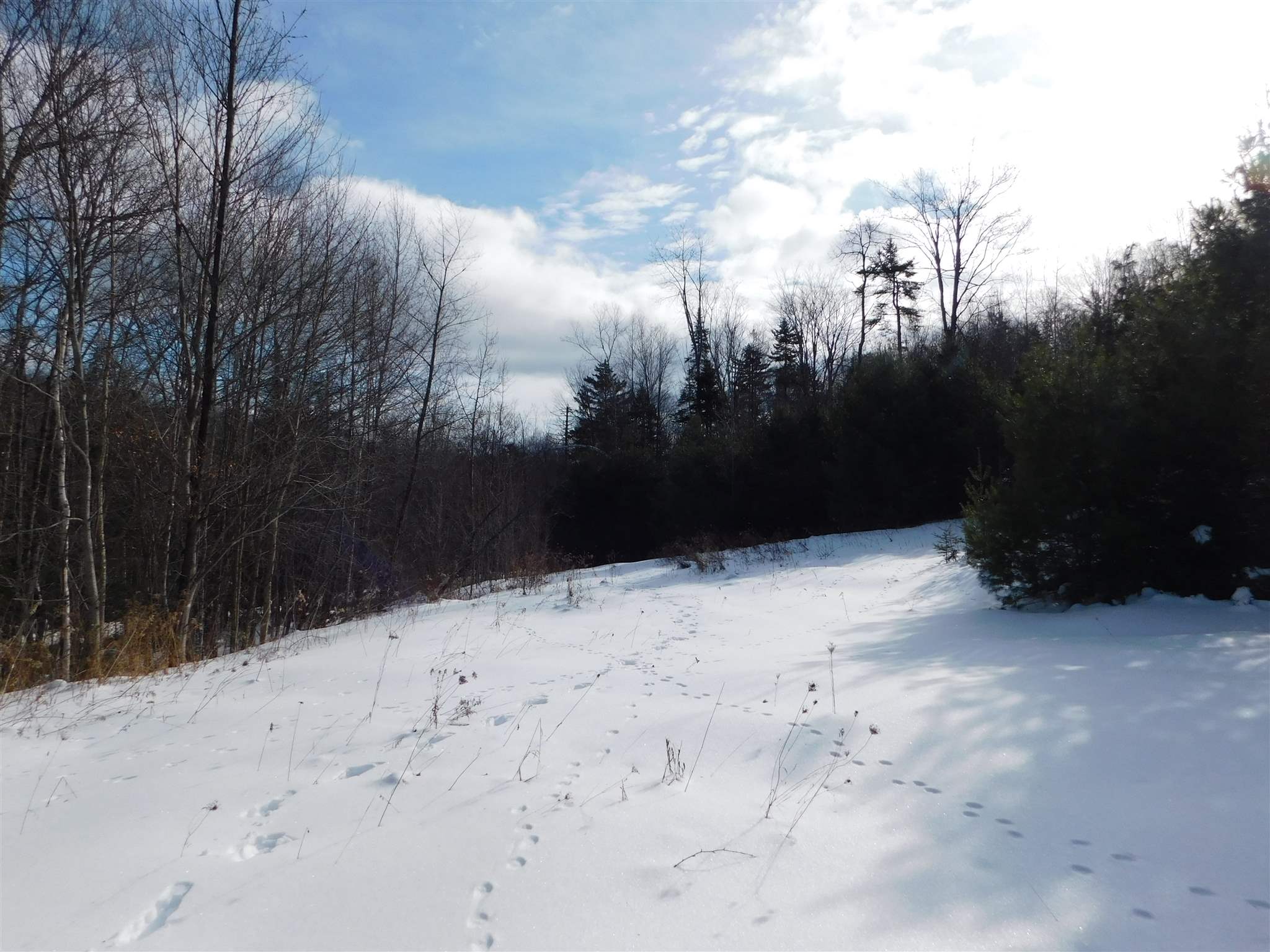 145 Van Dyke Road Strafford, VT 05072 - Photo 7 of 11