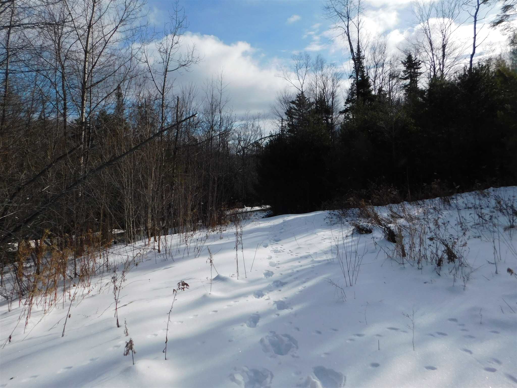 145 Van Dyke Road Strafford, VT 05072 - Photo 8 of 11