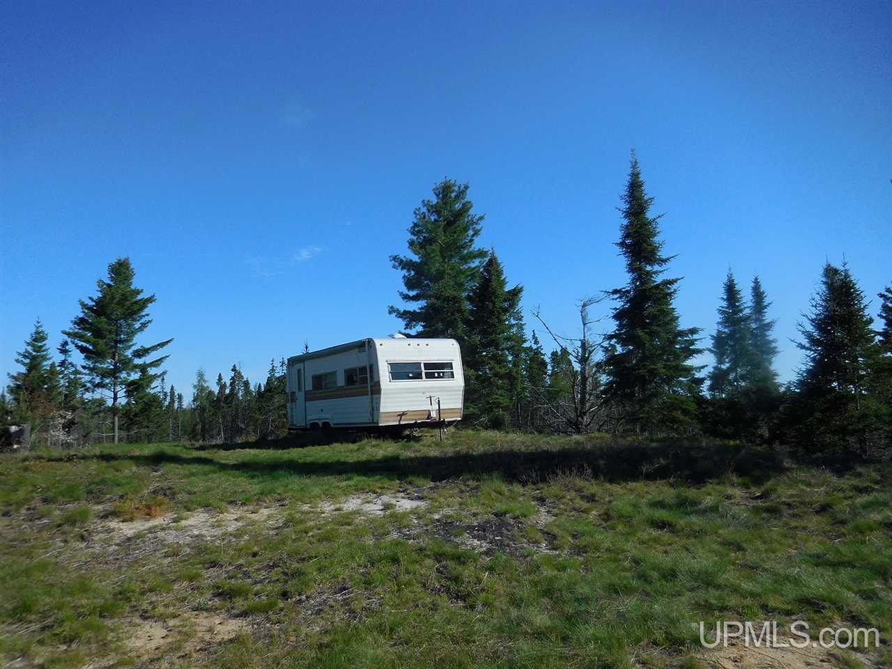 1480 Acres On Co Road Manistique, MI 49854 - Photo 9 of 49