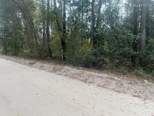 a view of a dirt road with trees in the background
