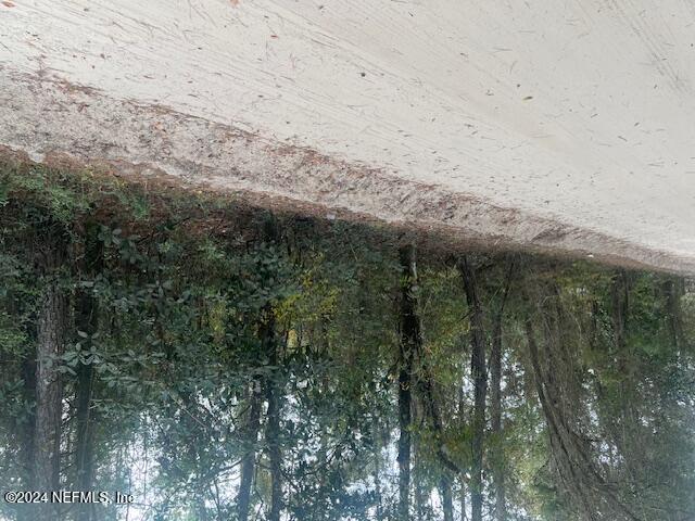 a view of a dirt road with trees in the background