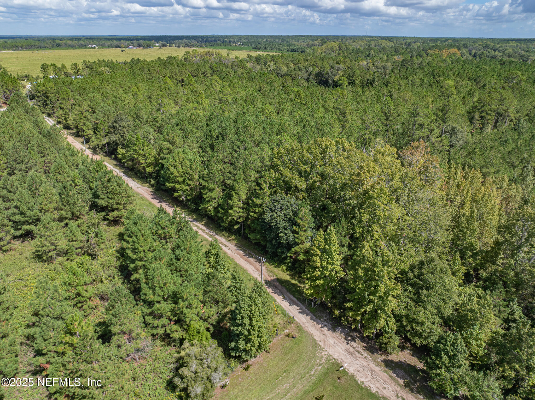0 Broken Arrow Road Hilliard, FL 32046 - Photo 9 of 15 a view of a forest from a window
