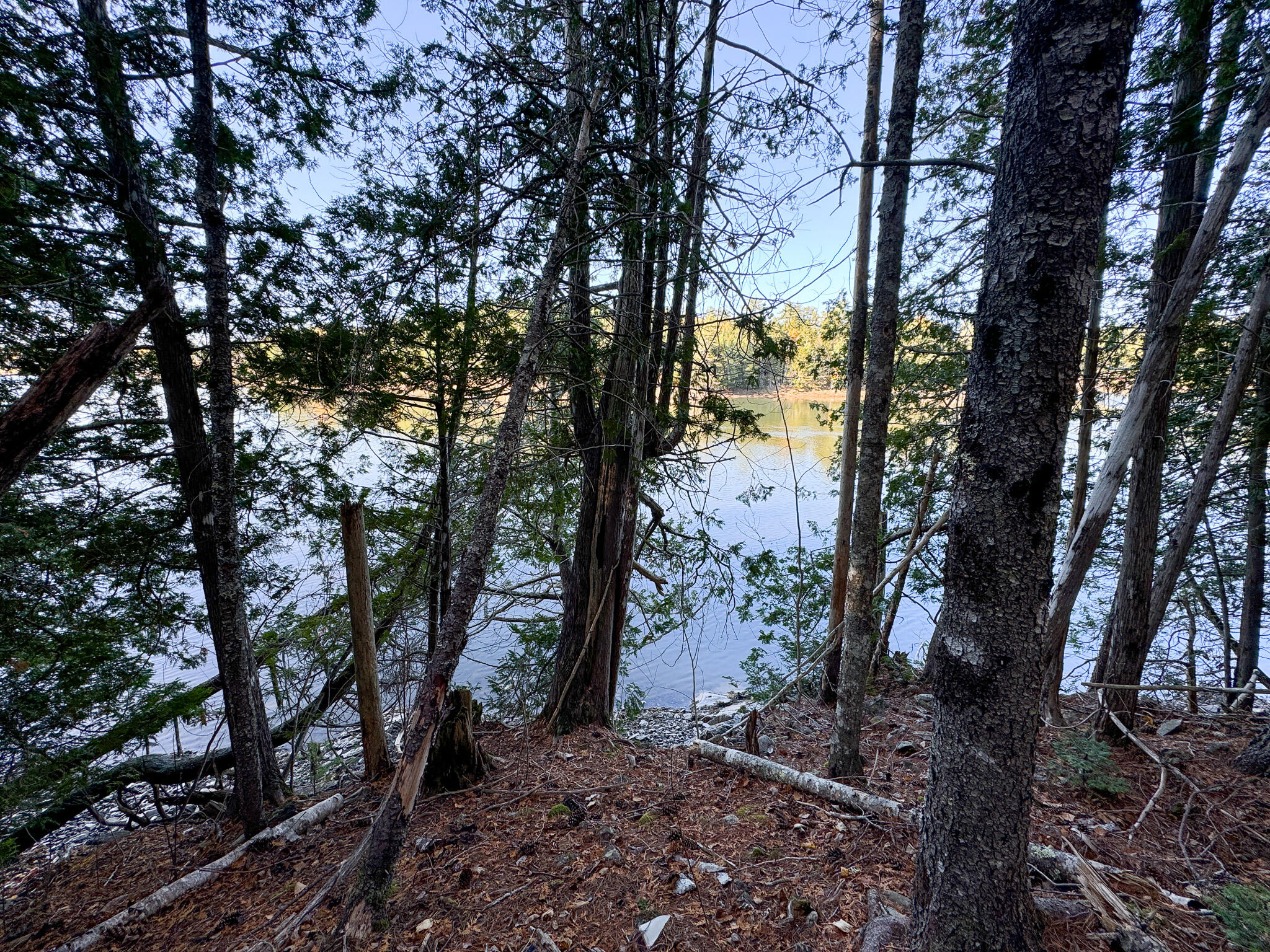 Lot 2.2 Belyea Road Dennysville, ME 04628 - Photo 18 of 20 18
