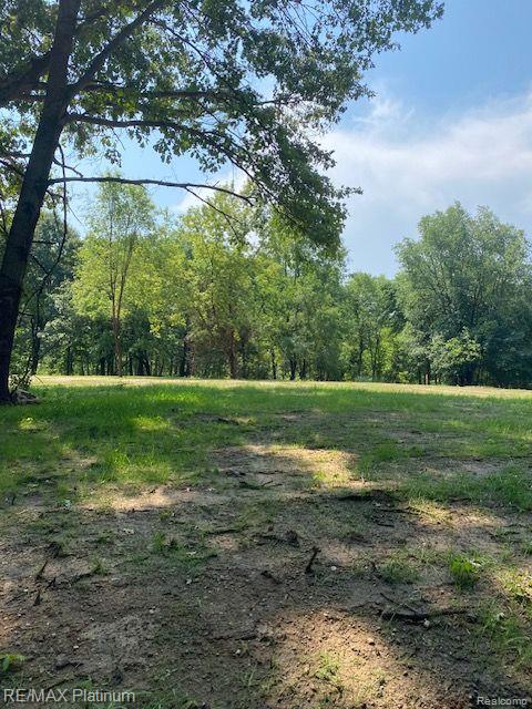 7 Sleaford-parcel 7 - 2 Acres Road Howell, MI 48843 - Photo 32 of 45
