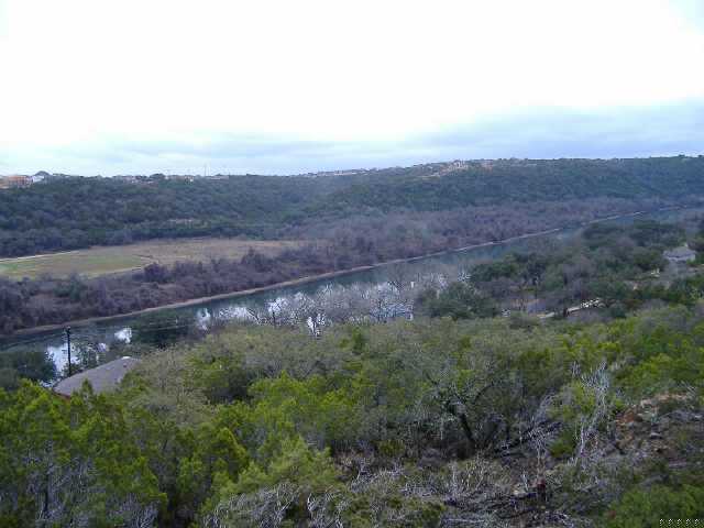 a view of a city with lush green forest