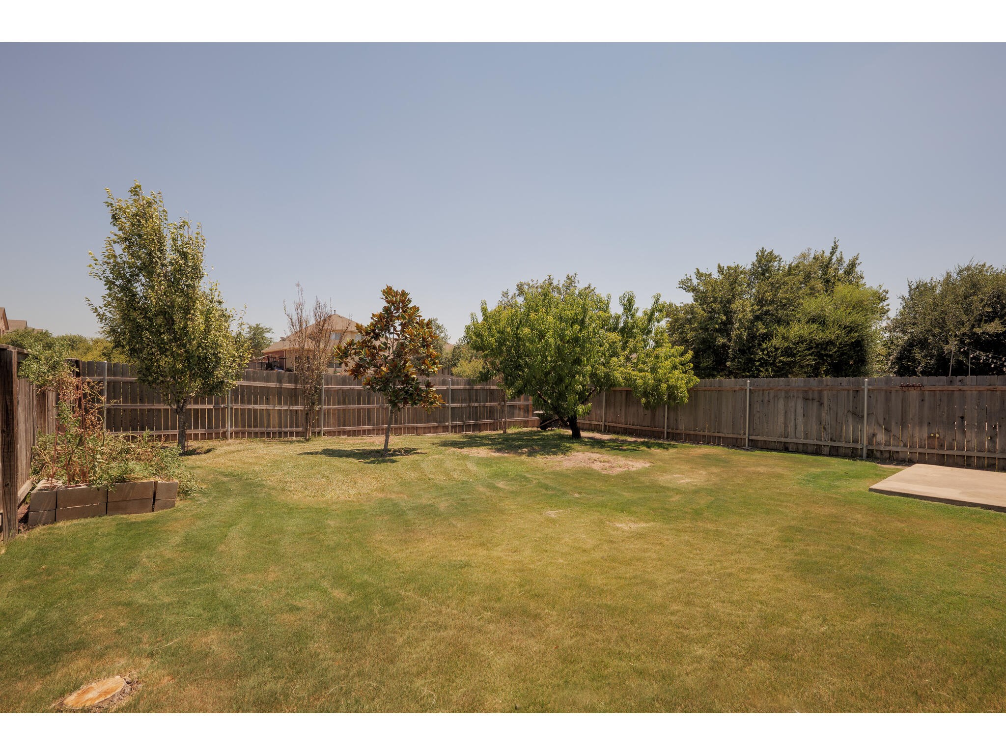 13925 Fallsprings Way Manor, TX 78653 - Photo 5 of 39 a view of a yard with swimming pool