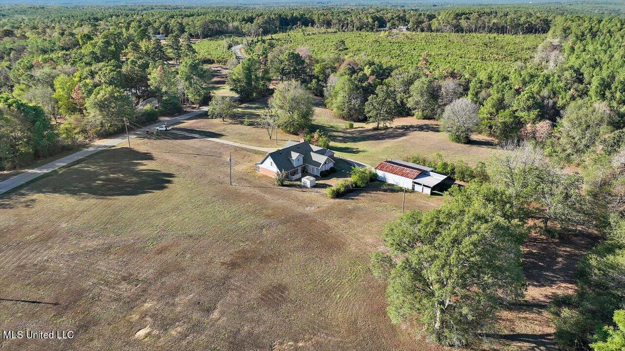 642 Wilson- Welch Road Mendenhall, MS 39114 - Photo 56 of 59 68-642 Wilson-Welch Rd