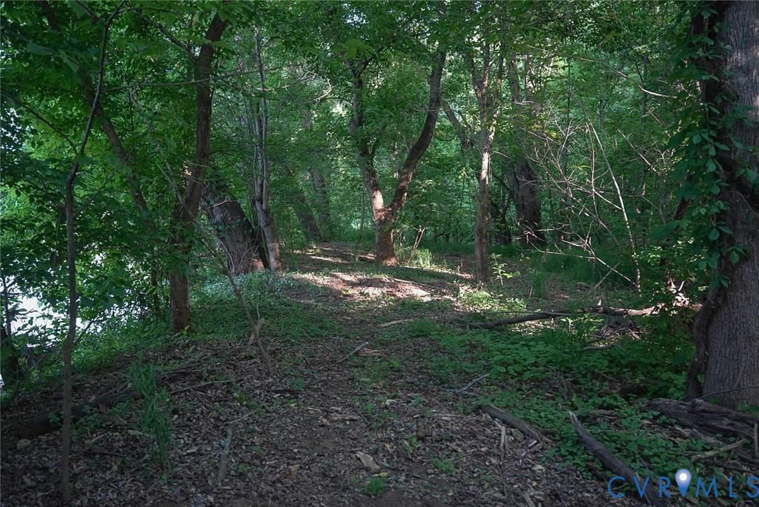 176 Ampthill Road Cartersville, VA 23027 - Photo 22 of 25 a view of outdoor space and green space