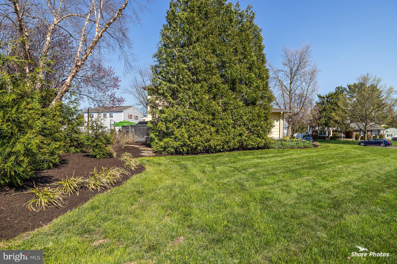 22 Stonebridge Road Cherry Hill, NJ 08003 - Photo 40 of 43 strategically placed privacy trees
