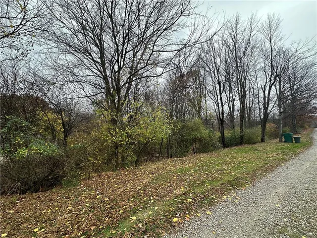 a view of backyard with green space