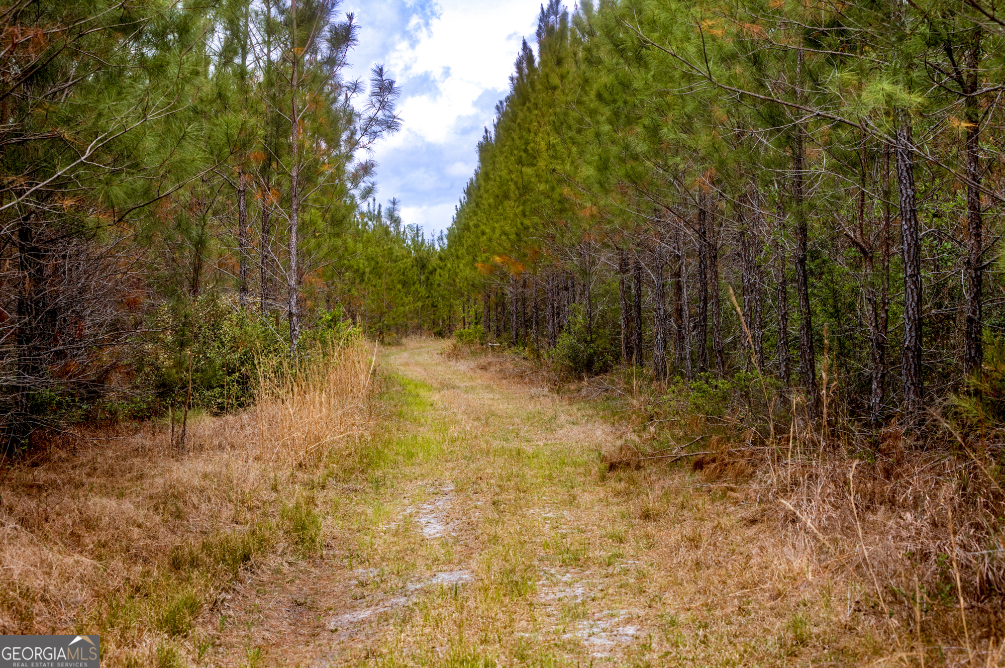 2474 Rushing Boone Road Glennville, GA 30427 - Photo 73 of 112