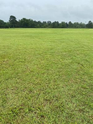 139 New Holland Road Aiken, SC 29805 - Photo 6 of 8