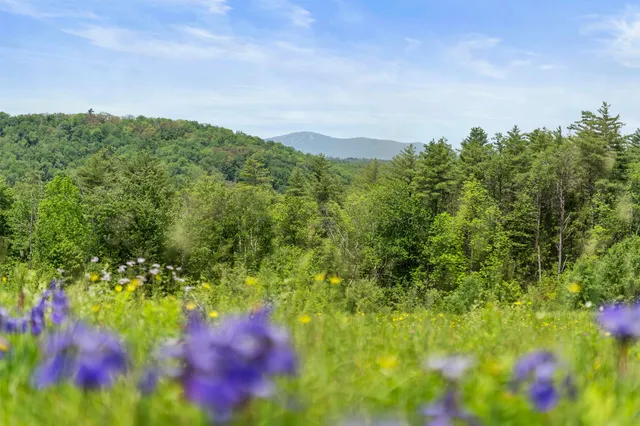 $675,000 | 0 Under The Mountain Road, South Londonderry, VT 05155