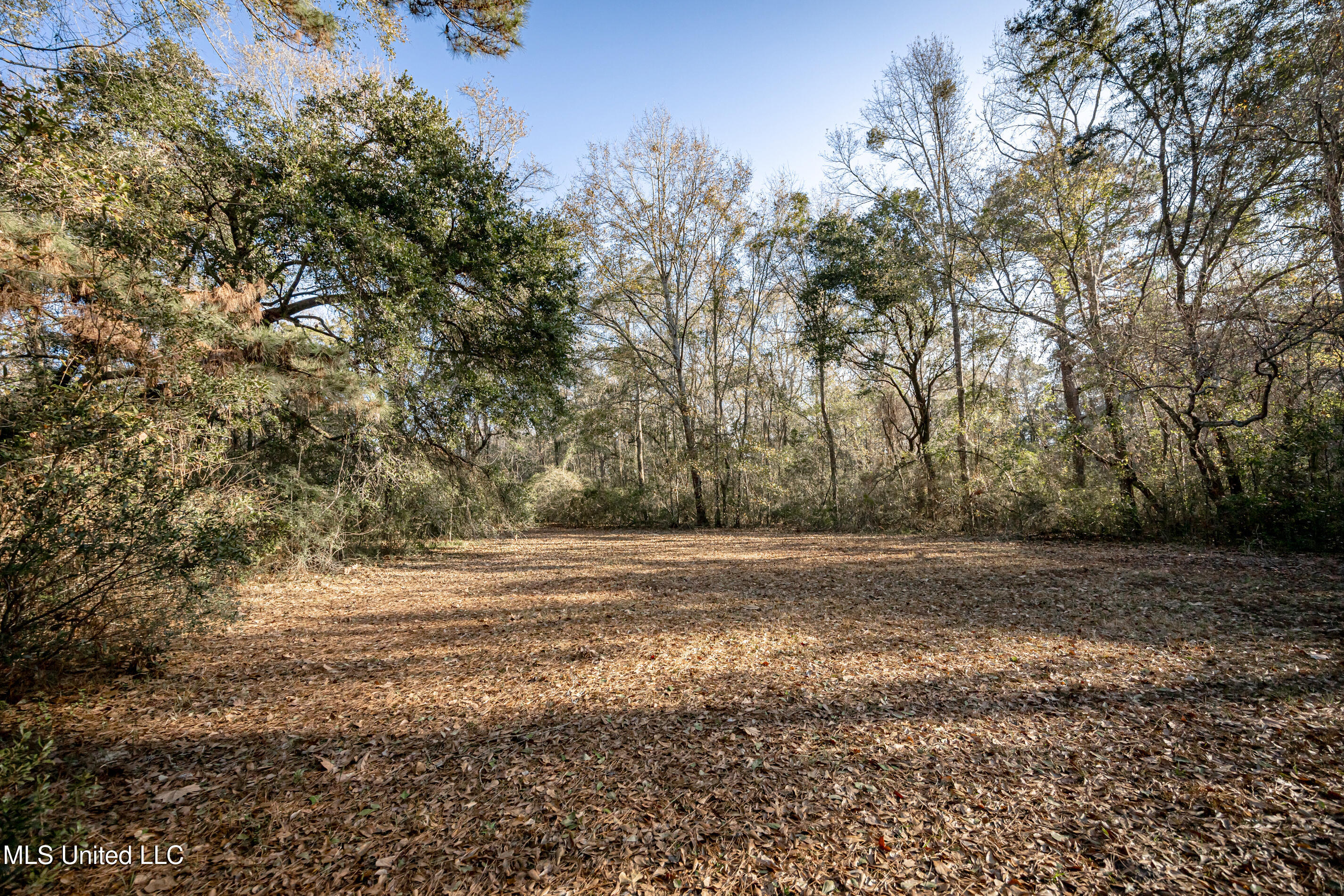 3040 Pabst Road Ocean Springs, MS 39564 - Photo 67 of 71 IMG_5558