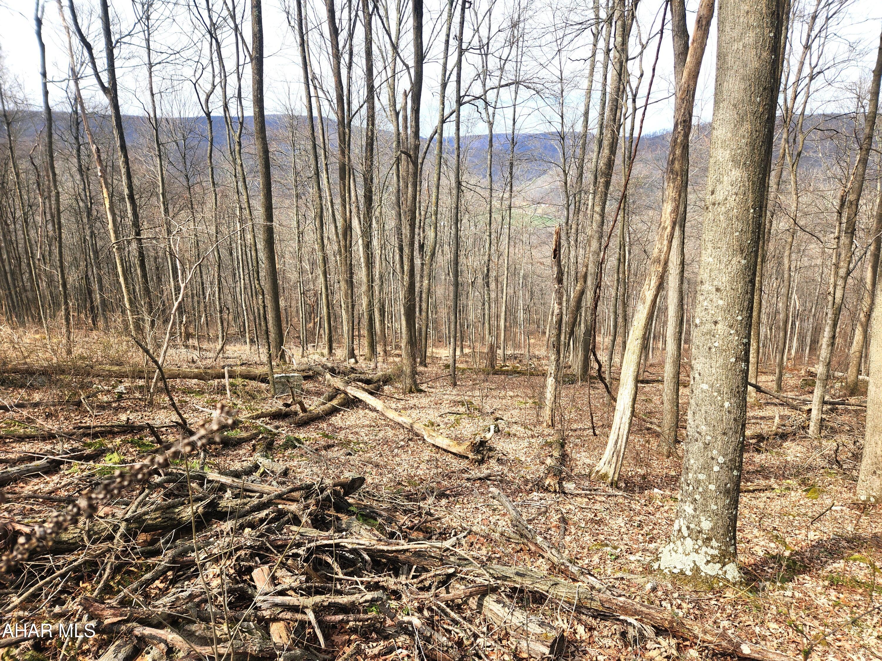 303 Wake Road Buffalo Mills, PA 15534 - Photo 20 of 31
