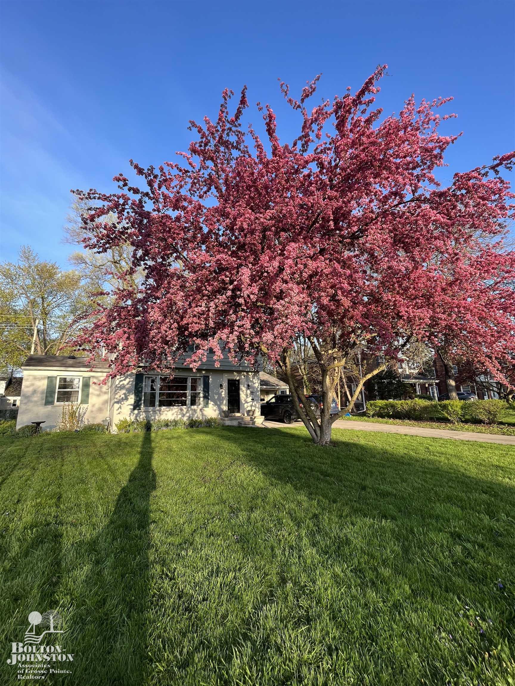 801 Pemberton Road Grosse Pointe Park, MI 48230 - Photo 9 of 46
