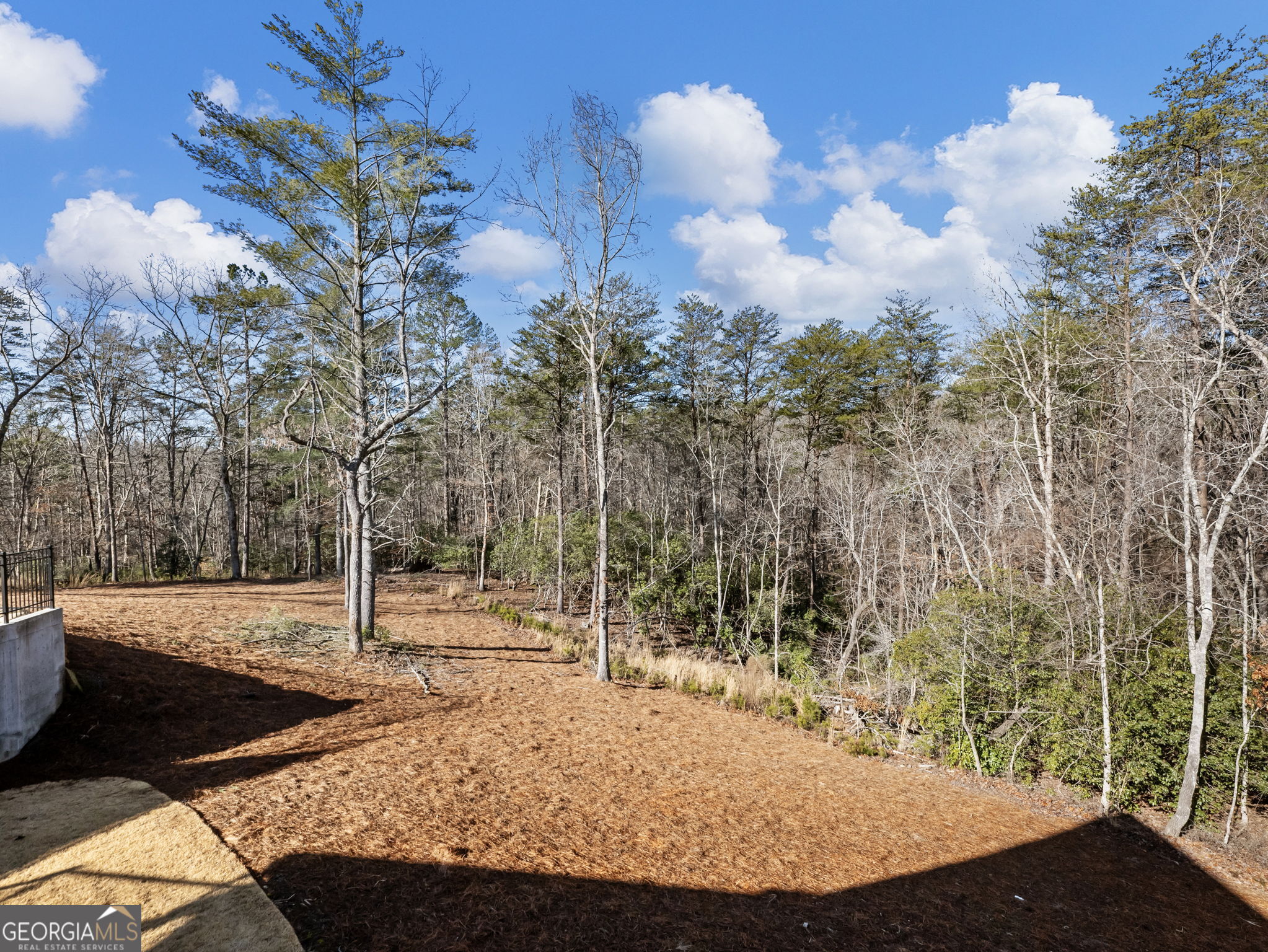 175 Lands End Trail Cleveland, GA 30528 - Photo 59 of 83