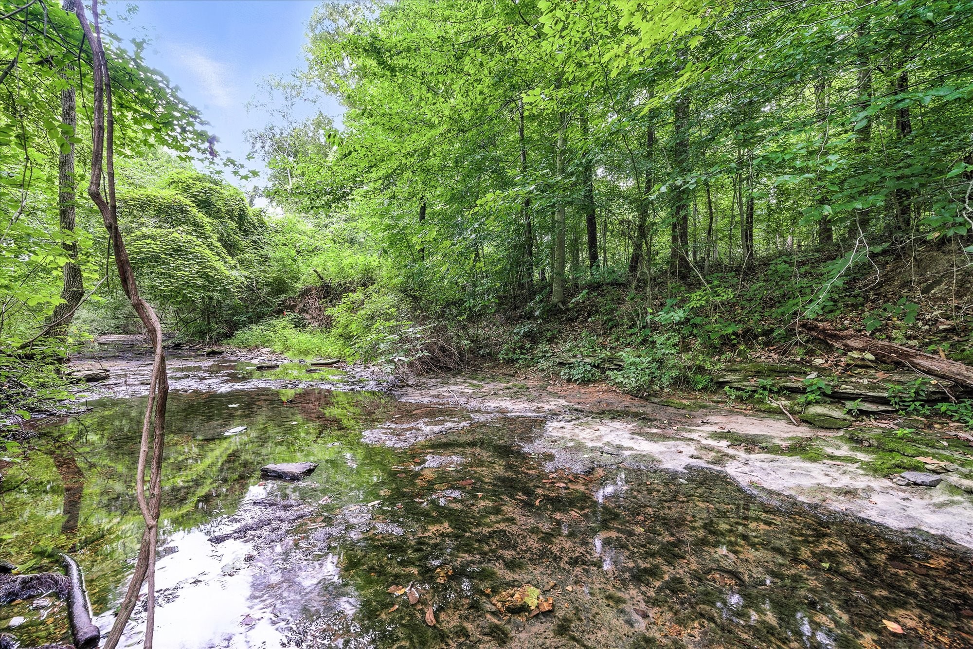 135 Rachelle Place Baxter, TN 38544 - Photo 27 of 33