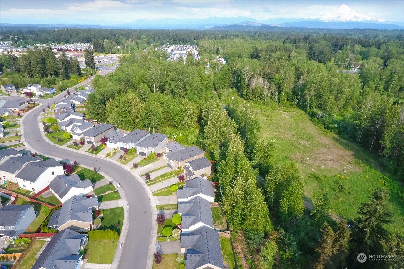 9814 201st Street East Graham, WA 98338 - Photo 37 of 40 a view of a city