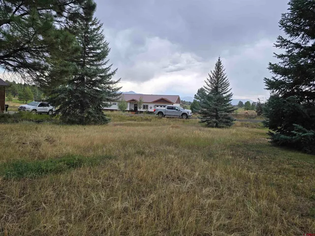 a view of a field with trees