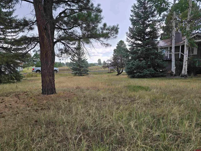 a view of a yard with trees