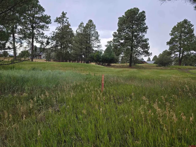 a big yard with lots of green space and trees