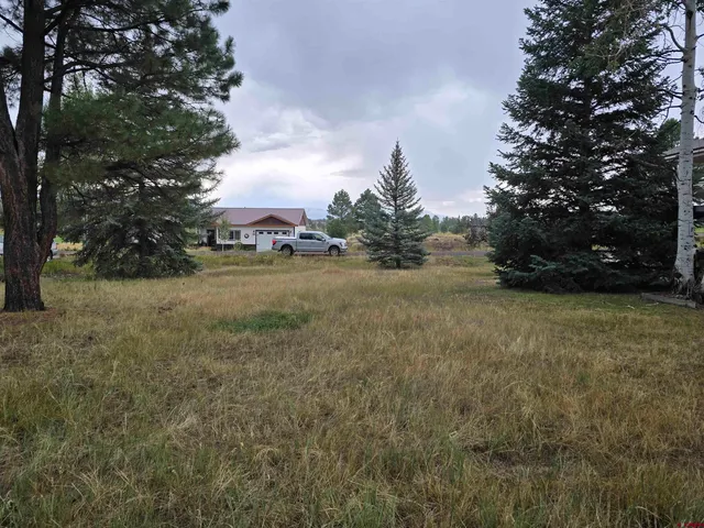 a view of a yard with a tree