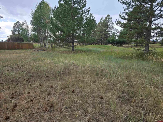 a view of a field with trees in the background