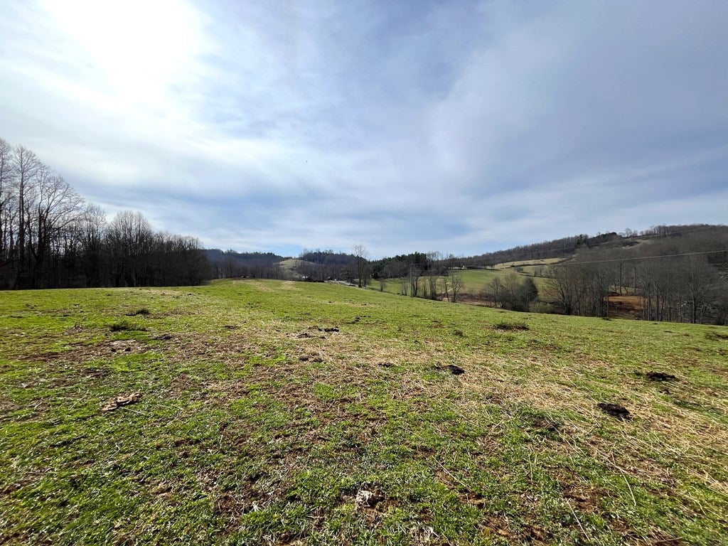 Tbd Tbd Dugpsur Road Dugspur, VA 24325 - Photo 11 of 27 Gallery Image 11