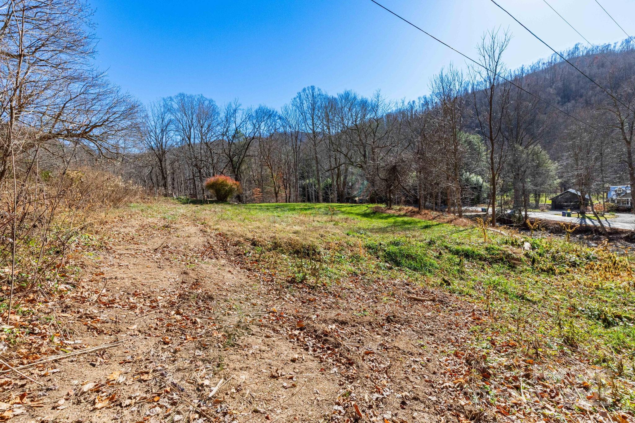 190 Blackberry Inn Road, Unit 1 Weaverville, NC 28787 - Photo 20 of 27