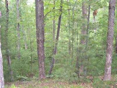 7730 Riverside Drive Manistee, MI 49660 - Photo 2 of 2 Additional Photo