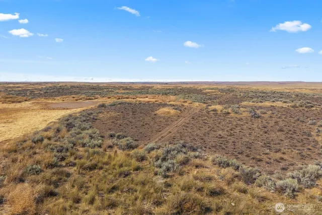 a view of beach and ocean