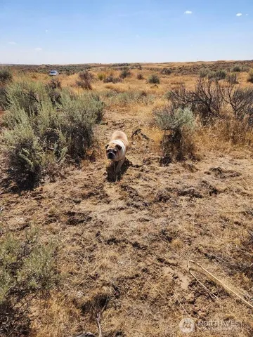 a view of beach and an ocean