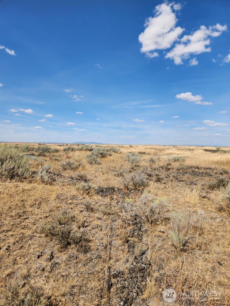 0 Earl Road North Davenport, WA 99122 - Photo 21 of 30 a view of beach and an ocean