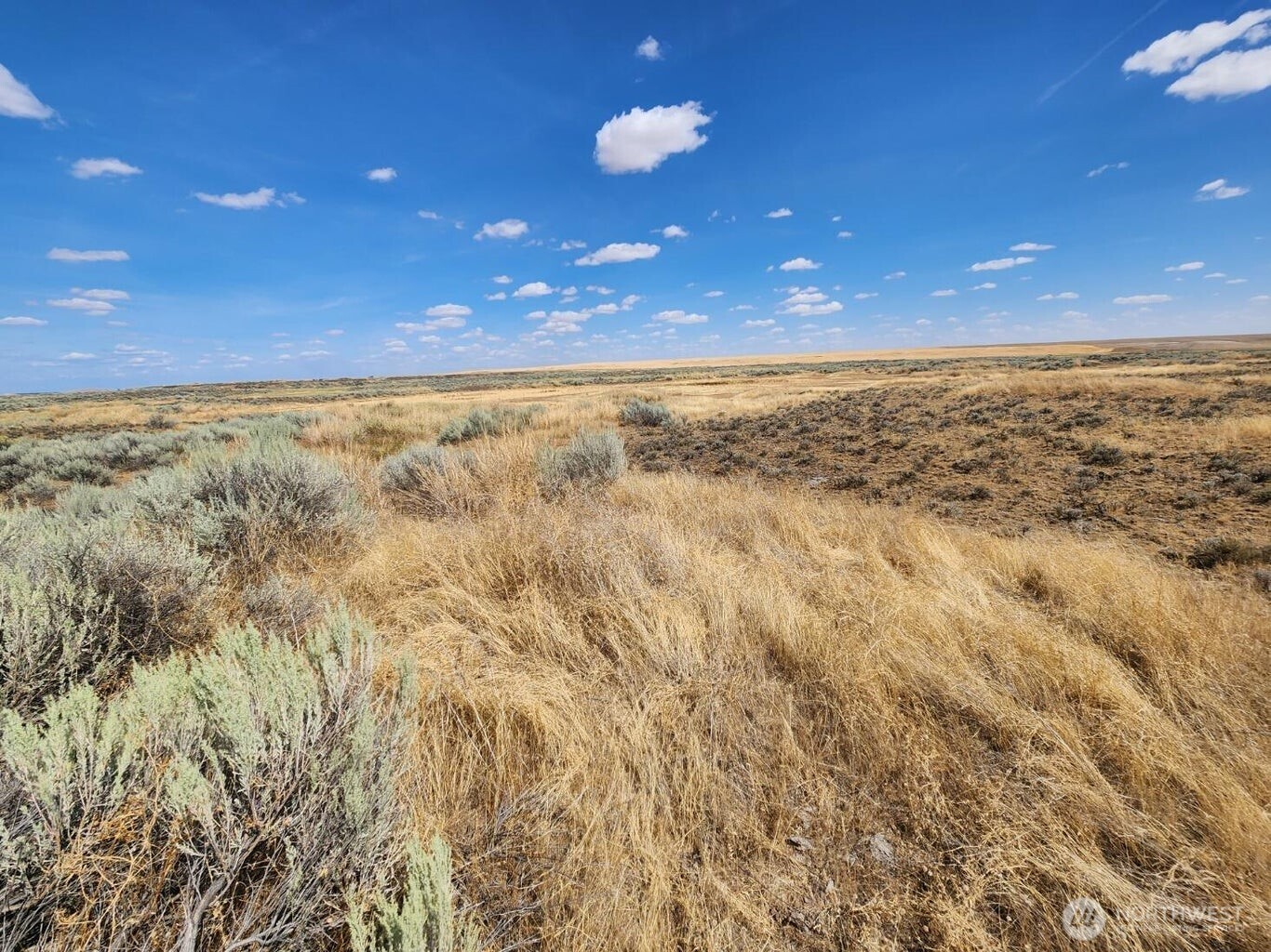 0 Earl Road North Davenport, WA 99122 - Photo 22 of 30 a view of an ocean and a yard
