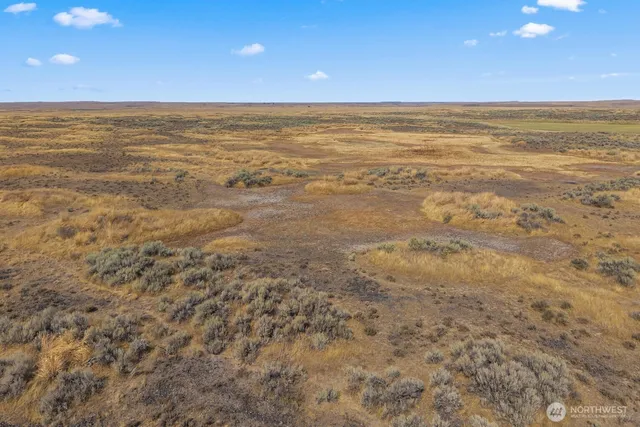 a view of an ocean beach