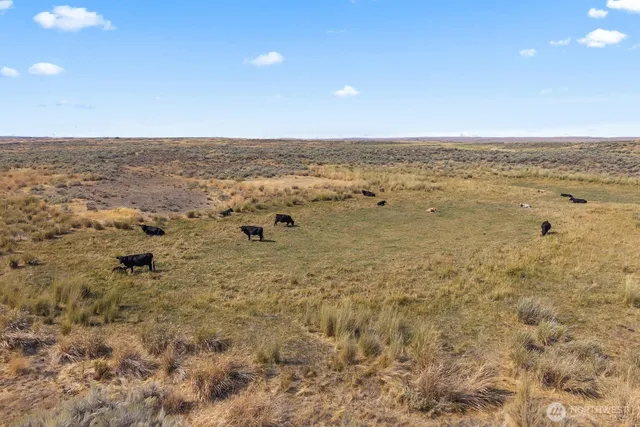 $160,000 | 0 Earl Road North, Davenport, WA 99122