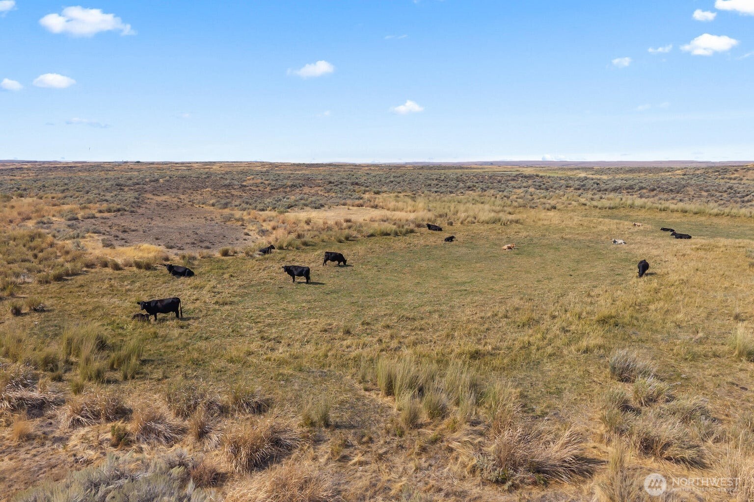 0 Earl Road North Davenport, WA 99122 - Photo 30 of 30 a view of an ocean beach