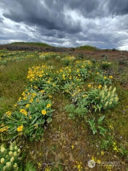0 Earl Road North Davenport, WA 99122 - Photo 3 of 30 a view of a city