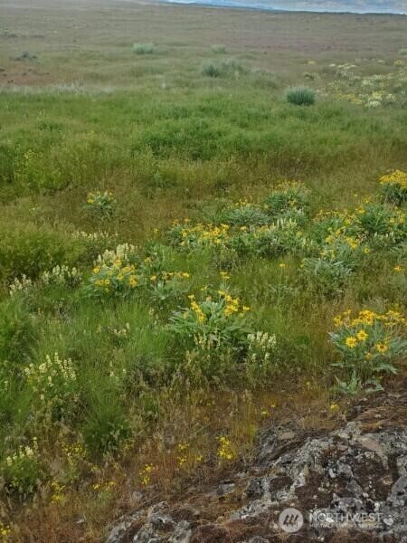 0 Earl Road North Davenport, WA 99122 - Photo 4 of 30 a view of a field with an ocean view
